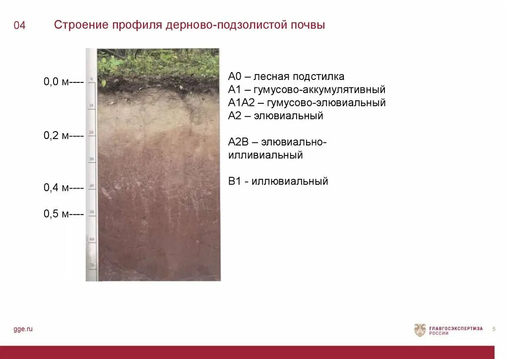 Подзолистые почвы слои