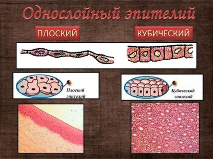Плоская ткань