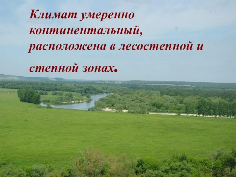 Географическое положение умеренно континентальной области. Умеренно континентальный. Лесостепная зона Воронежской области. Умеренный континентальный климат. Зоны лесостепной зоны в Воронежской области.