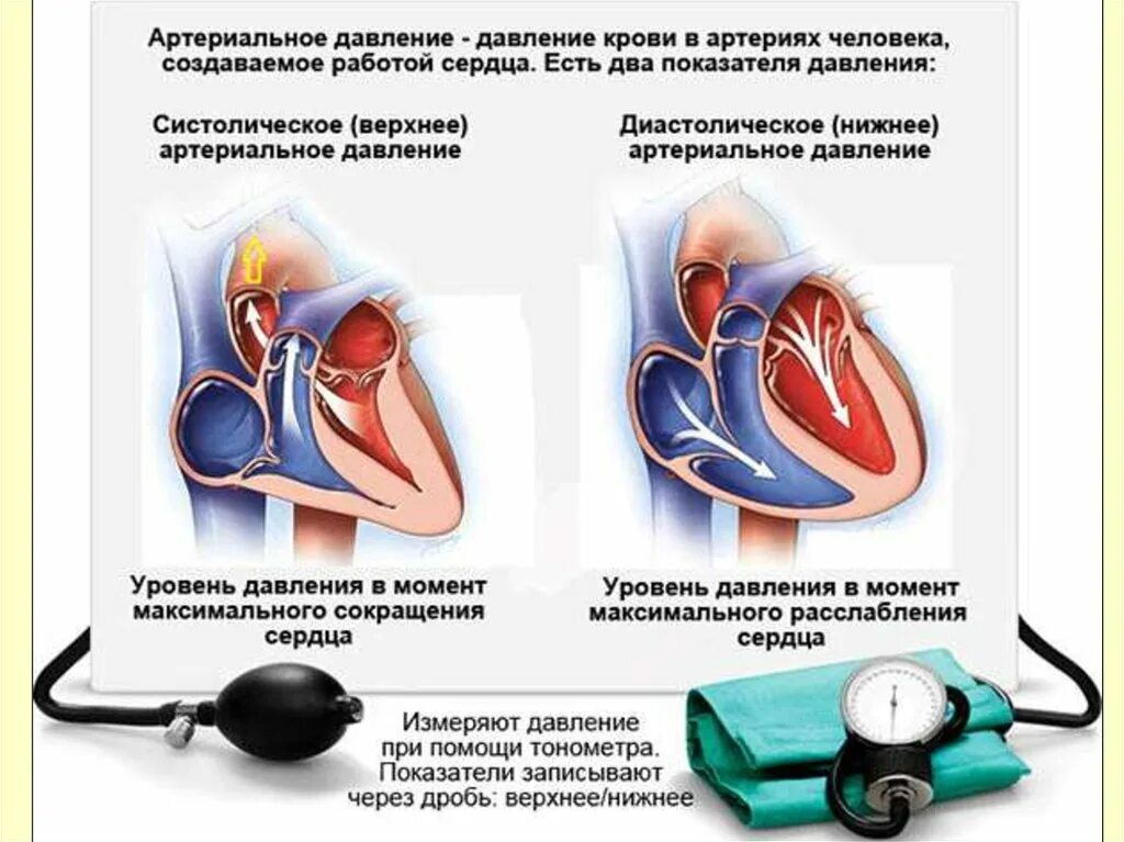 Почему повышен верхнее давление. Артериальное кровяное давление. Ад артериальное давление. Показатели артериального давления. Повышение и понижение артериального давления.