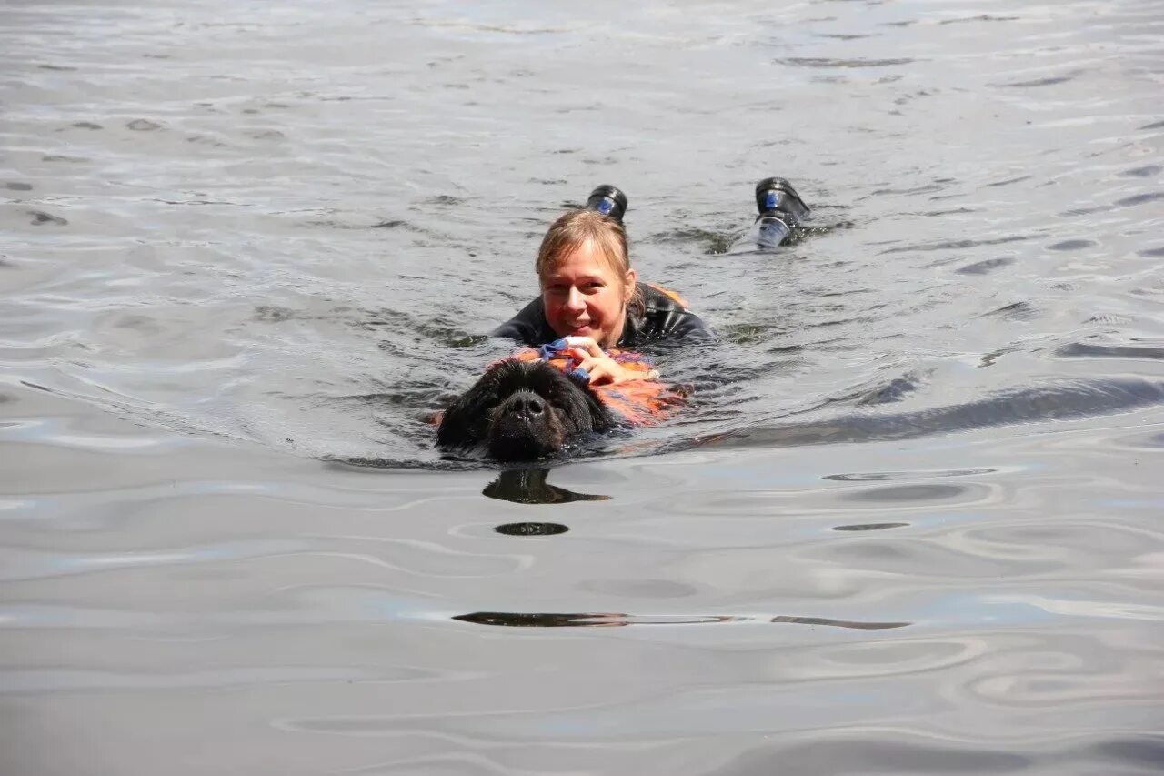 Спасутся люди видео. Собака спасает человека из воды. Собаки спасатели на воде. Собака спасает человека на воде.