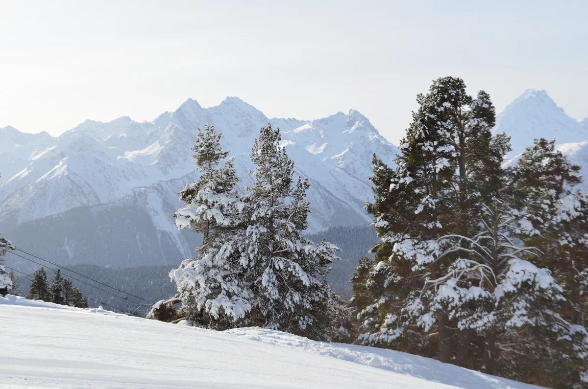богословка архыз зима. карат горнолыжнавя - чегет- домбай- архыз -эльбрус. архыз снег сейчас. архыз снег сейчас. архыз горнолыжка.