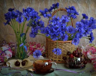 Васильки утром