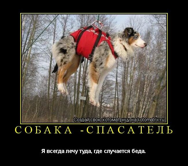 я лечу туда где. домовенок кузя с метлой. куда хочу туда лечу. куда хочу туда. я птица вольная куда хочу туда лечу куда хочу куда лечу.