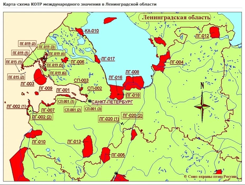 Болота Ленинградской области на карте. Ленинградская область. Карта. Клюквенные места в Ленинградской области на карте. Леса Ленинградской области на карте. Сайт ленинградская обл