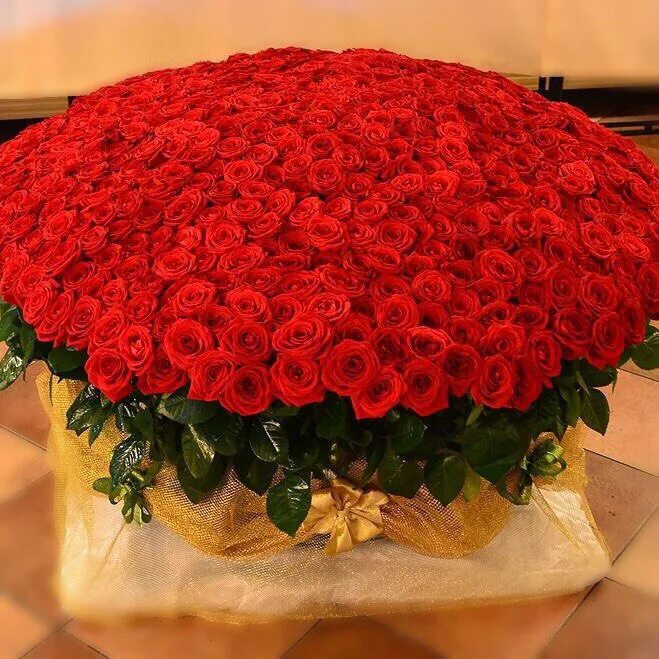 С днем рождения огромные розы. Букет шикарный. Красивые большие букеты. Шикарный букет роз. Большие букеты роз.