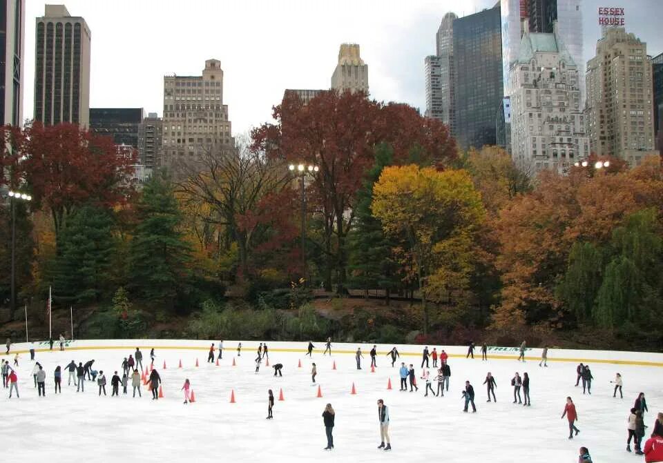 Central park 22. Каток уентральный РАРК ньютйлрк. Каток Нью-Йорк Центральный парк. Каток централ парк Нью Йорк. Каток Нью Йорка парк.