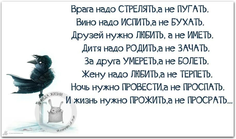 Запах врагу не пожелаешь 5 букв. С такой родней врагов не надо. С такими родственниками и враги не нужны. Врага надо стрелять а не пугать вина. С такими родственниками и врагов не надо.