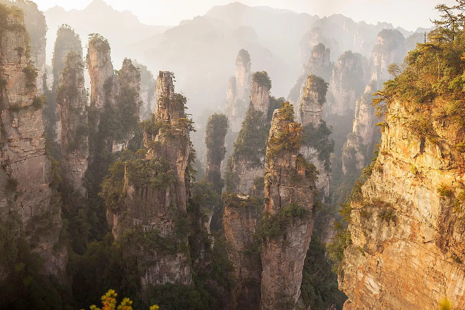 Основные горы китая. Национальный парк Чжанцзяцзе (провинция Хунань). Китай провинция Хунань национальный парк. Национальный Лесной парк Чжанцзяцзе, Китай. Горы Тяньцзи Китай аватар.