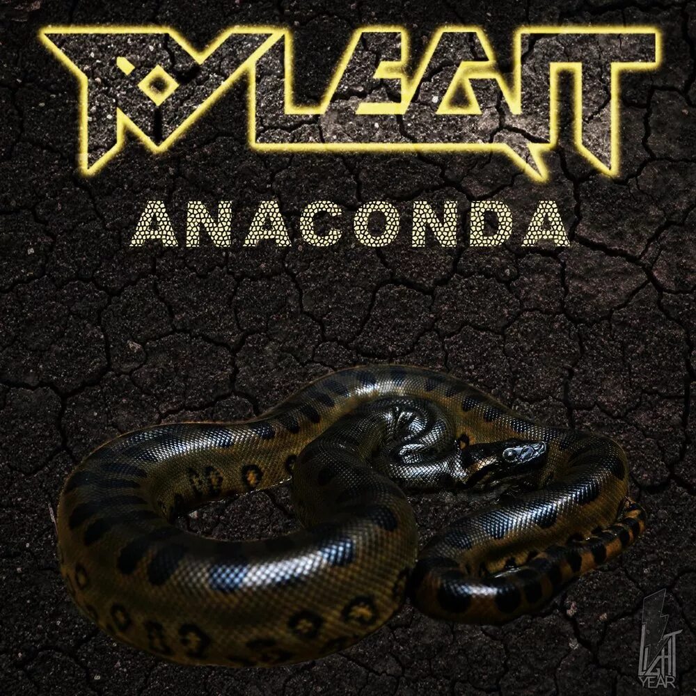 Анаконда музыка. Анаконда. Бренд Анаконда. Анаконда альбом. Сингл «Anaconda».