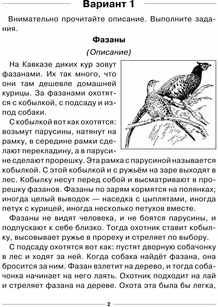 Комплексная работа 4 класс логинова. Комплексная работа про фазанов с ответами. Фазаны комплексная работа. Комплексная работа 4 класс. Контрольная работа 2 класс итоговая комплексная работа.