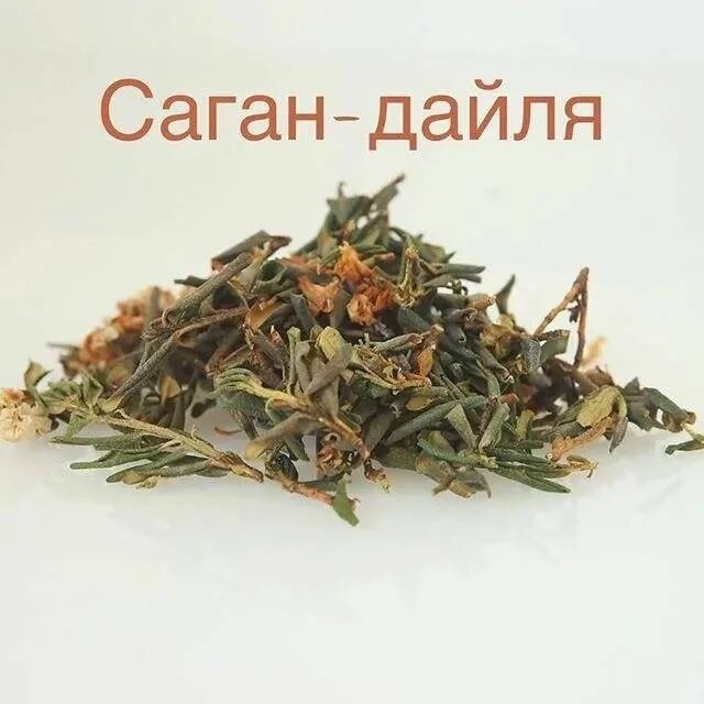 Как выглядит саган. Бурятский чай саган дайля. шаманский чай саган дайля. саган дайля напитки. саган дали трава.