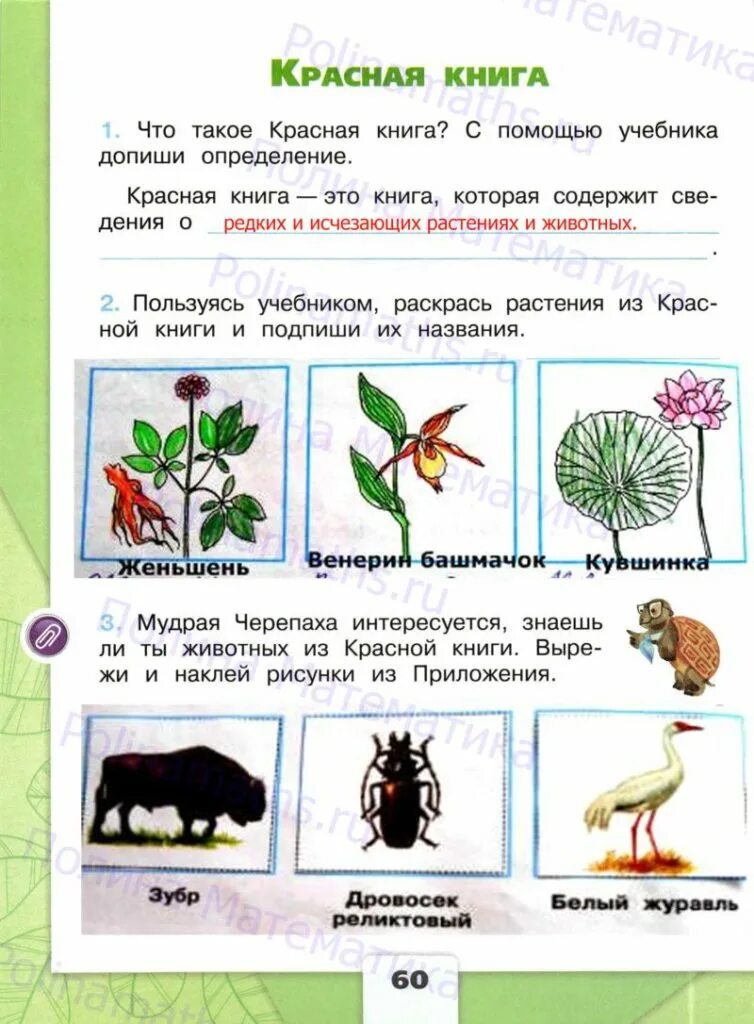 Окр мир 2 класс стр 61. Тетрадь окружающий мир 2 класс школа россии плешаков. гдз окружающий мир 2 класс учебник плешаков. окружающий мир 2 класс рабочая тетрадь 1 часть школа россии ответы. окружающий мир 2 класс рабочая тетрадь школа россии плешаков.