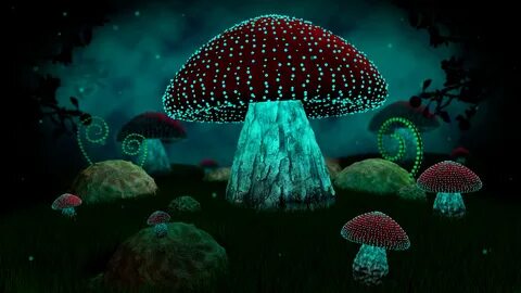 Mushroom 13