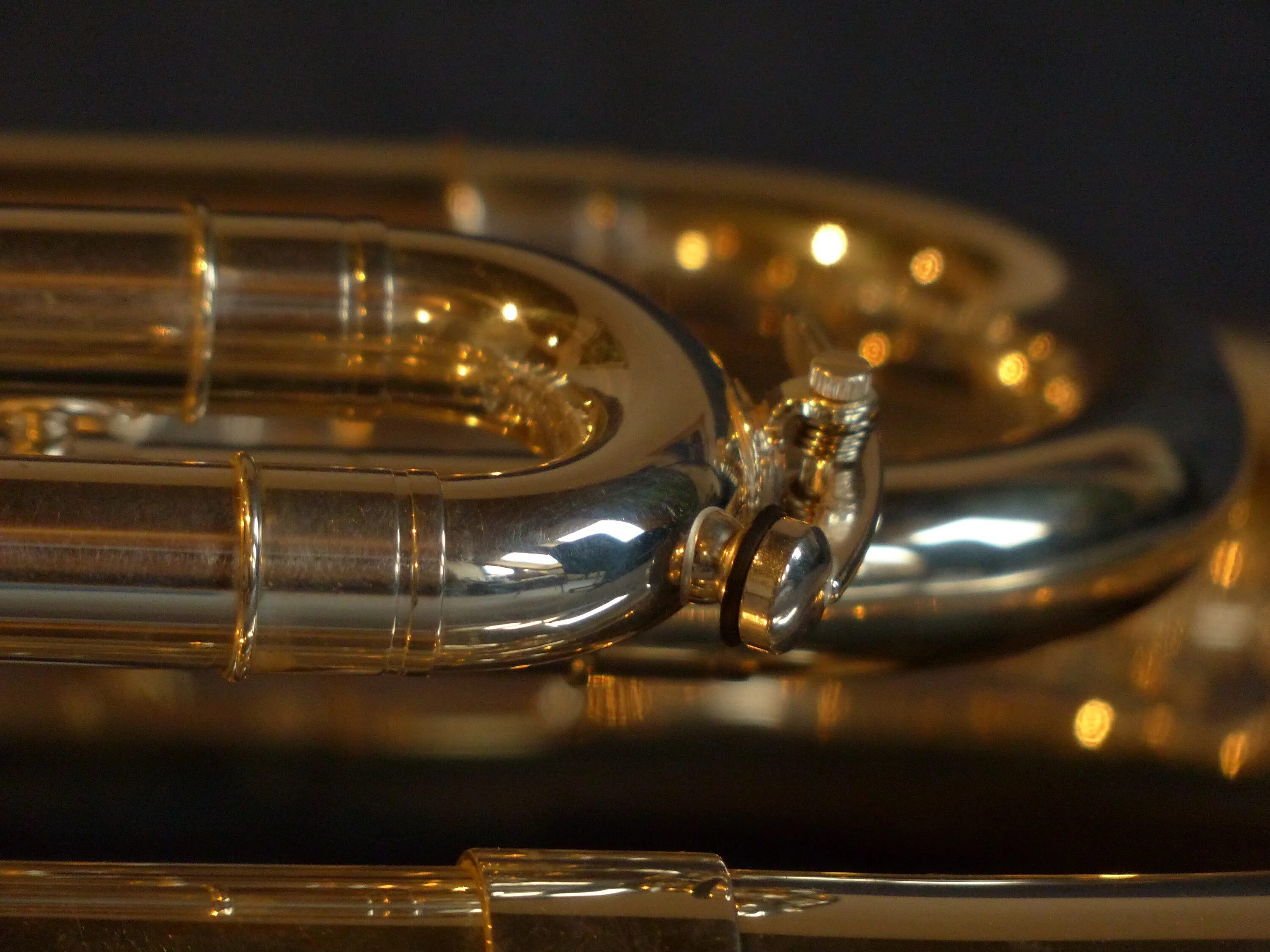 Музыка трубочка. Эуфониум духовой инструмент. Эуфониум музыкальный инструмент. Труба духовой музыкальный инструмент. Эуфониум музыкальный инструмент фото.