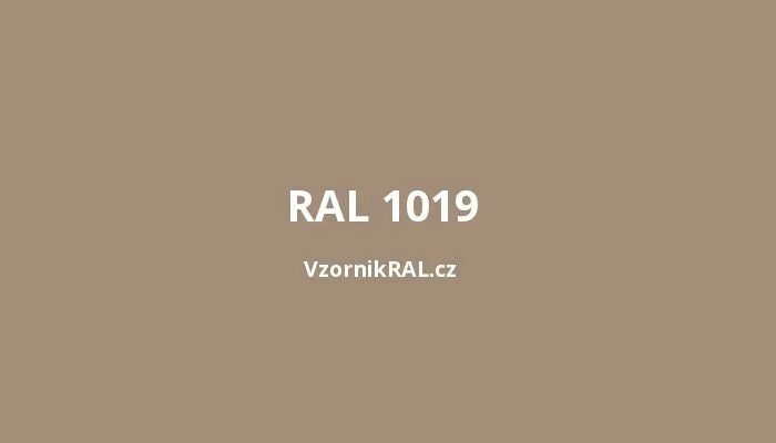 Эмаль капучино ral 1019. Краска ral 1019. Рал ral 1019. Краска ral 1019. 1011 рал цвет.