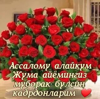 Интернетте ешкі порно көру