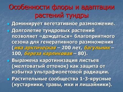 Характеристика флоры