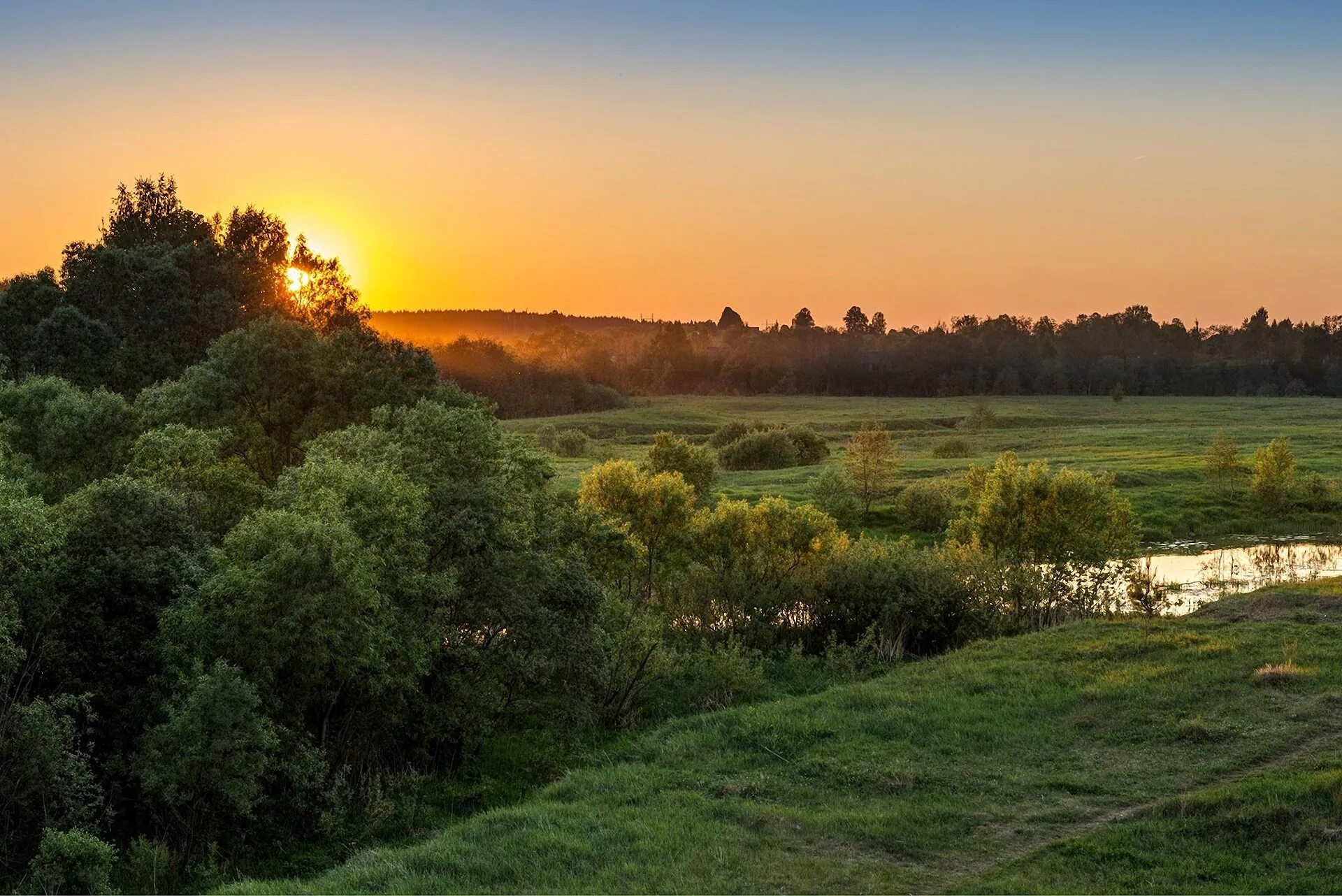 Самое в орловской области. Природа Орловского края. Пейзаж Орловского края. Лесостепной пейзаж. Пейзажи Воронежской области.