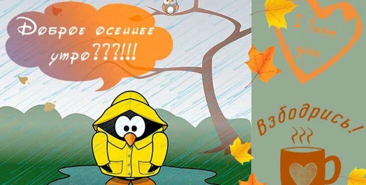 Картинки с добрым утром веселые осенние новые. С добрым осенним утром прикольные. открытки с добрым утром осенние прикольные. с добрым осенним днем прикольные. открытка с добрым утром осенняя веселая.