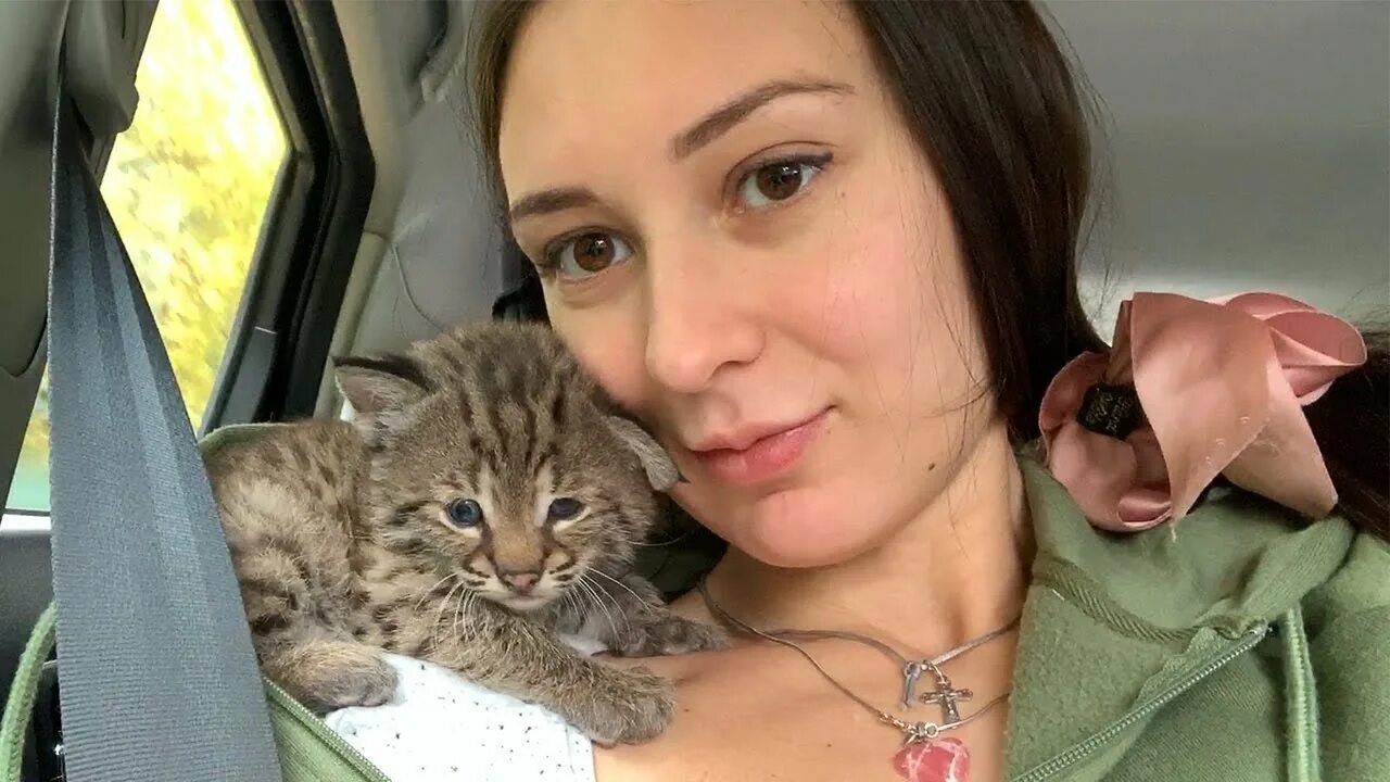 Канал бобкэт. Катя bobcat. Канал бобкэт. Бобкэт. Канал бобкэт.