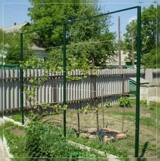 Шпалера для винограда металлическая