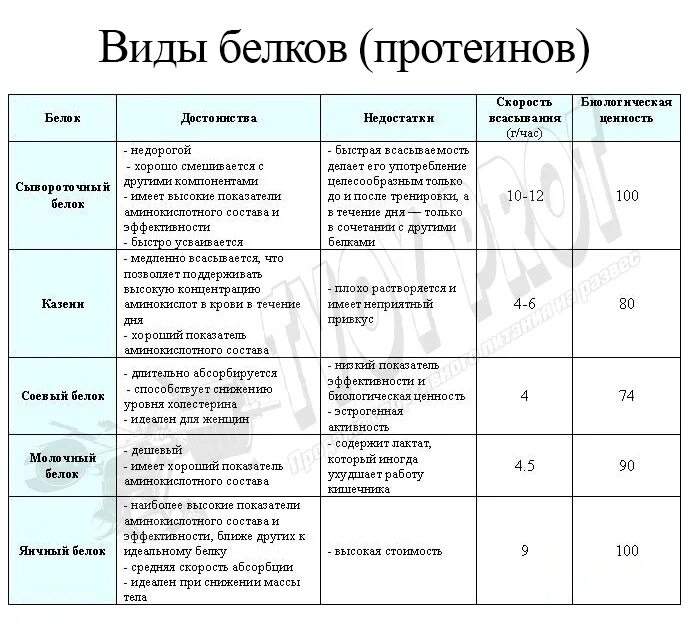 Основные группы белков. Функции протеина. Разновидности протеинов и их свойства. Скорость усвоения протеина таблица. Функции белков характеристика и пример в виде таблицы.