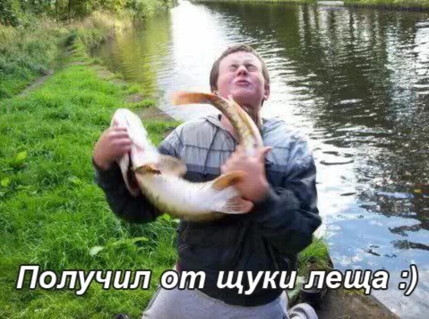 Дать леща или