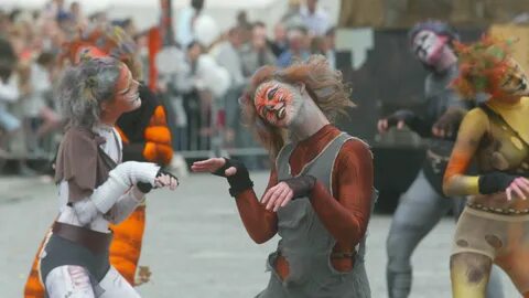 What To Know About Belgium’s Cat-Throwing Festival.