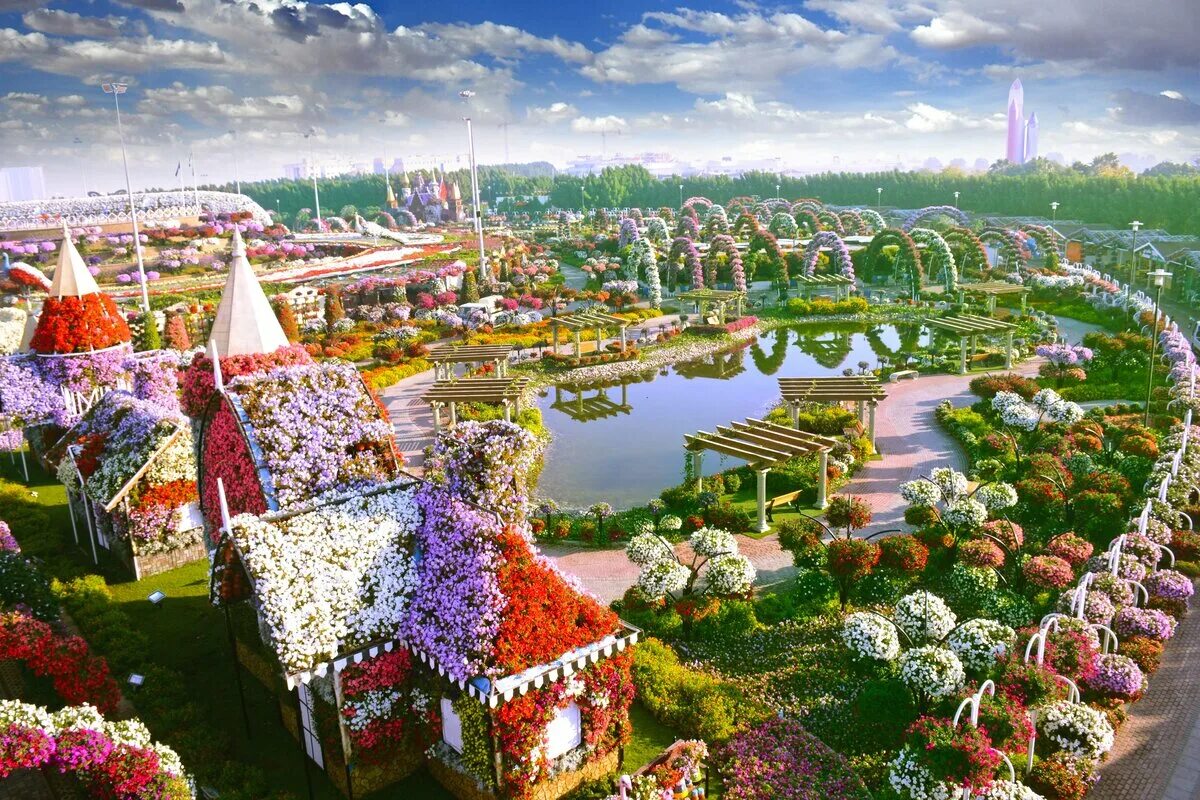 Самый большой парк. Миракл Гарден Дубай. Парк цветов Miracle Garden Дубай. Сад в Дубае Миракл Гарден. Парк «сад чудес» в Дубае, ОАЭ..