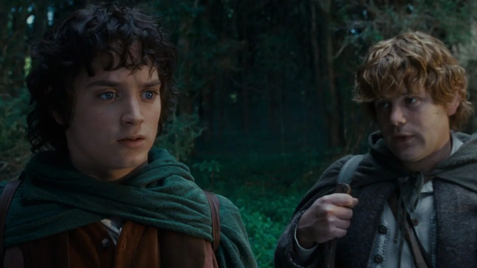 Властелин колец братство кольца 2001. Властелин колец братство кольца Фродо и Сэм. Фродо Бэггинс.