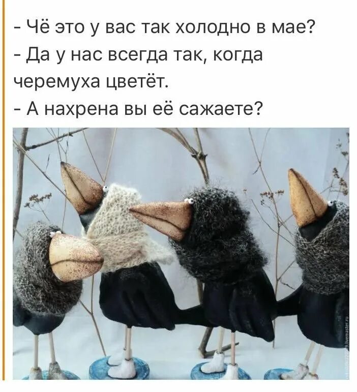Холодно а нефиг было. У нас холодно а у вас. холодно в мае. че у вас так холодно в мае. холодно картинки смешные.