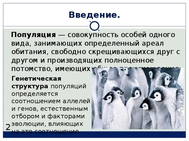 Видом называется группа особей обитающих. Видом называется группа особей обитающих
