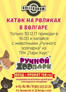 Сеансы катка тольятти
