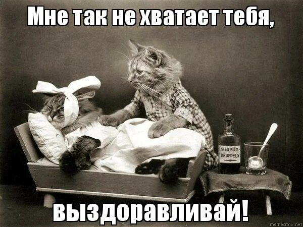 стих любимой не болей. стихи любимому мужчине не болей. стихи любимому мужчине чтобы выздоравливал. открытки с выздоровлением мужчине. выздоравливай любимый.