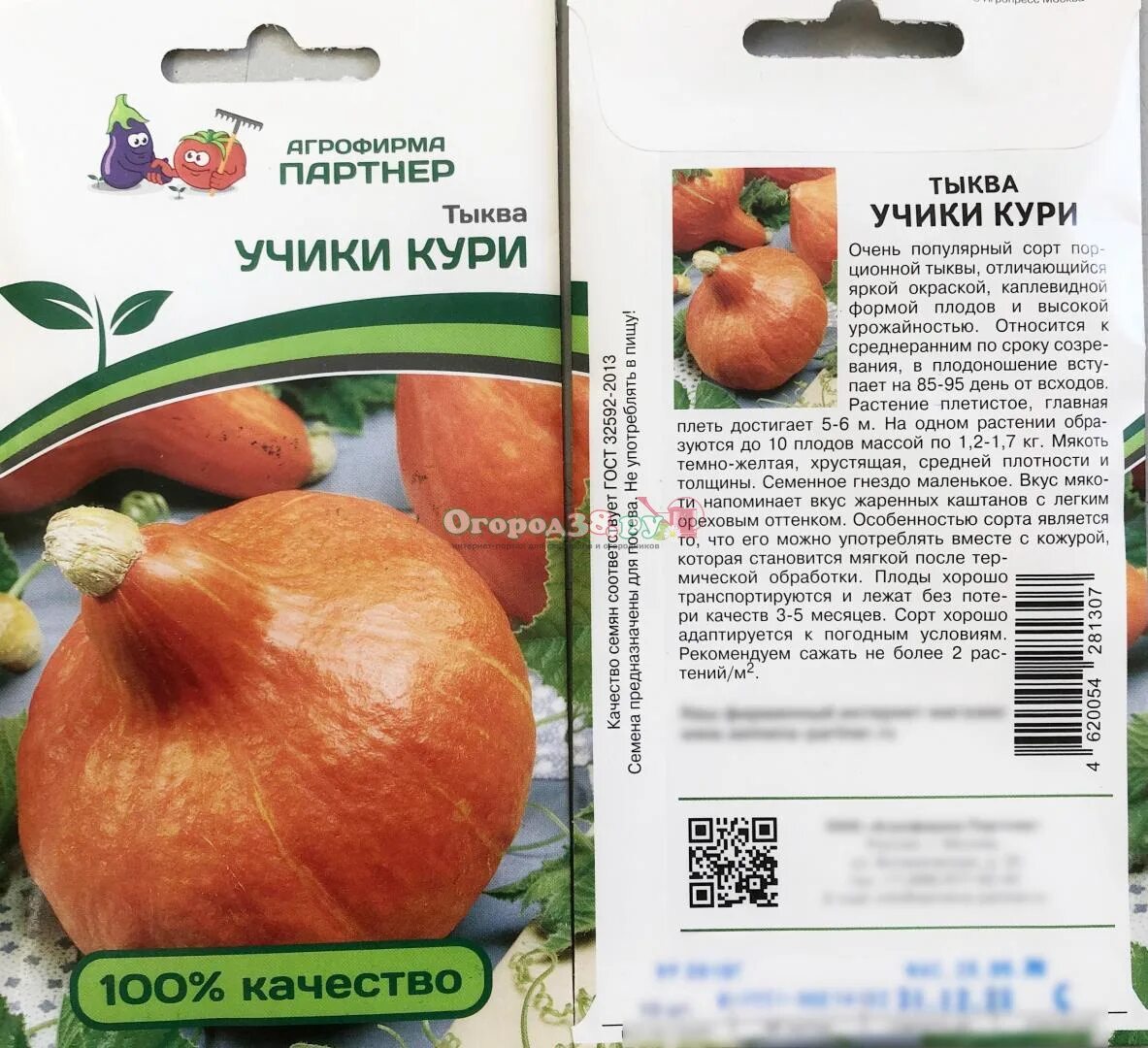Тыква сорт учики кури. Тыква кури. тыква учики кури. учики кури описание сорта. училки кури тыква.