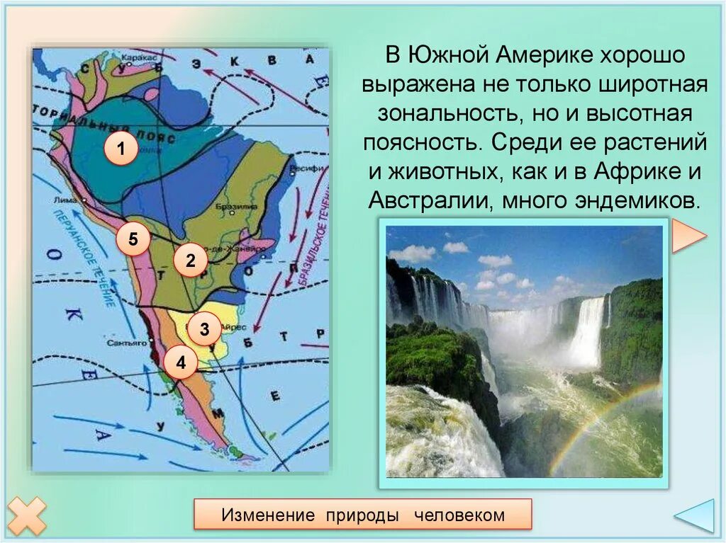 Выберите природные зоны южной америки. Животные ВЫСОТНОЙ поясности Южной Америки. Природные зоны Южной Америки. Природные зоны Южной Америки Южной Америки. Природные зоны материка Южная Америка.