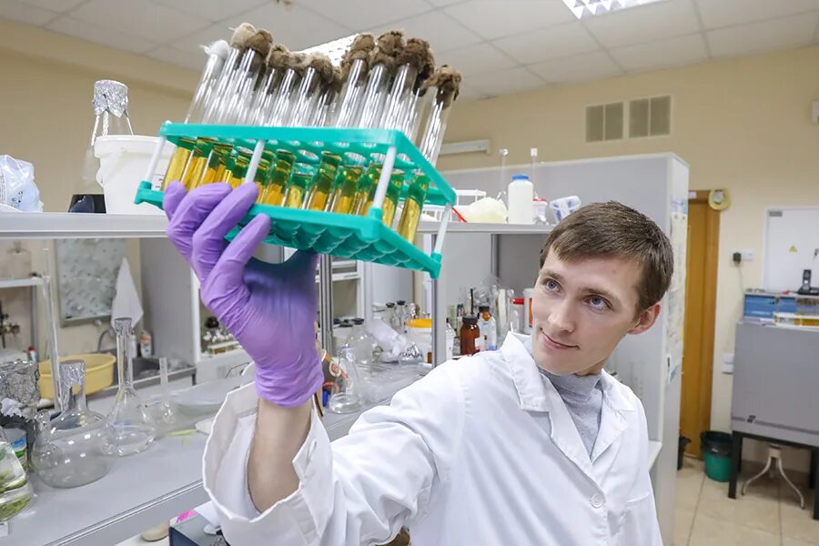 Институт микроорганизмов. Научный центр биотех. Институт микроорганизмов. Микробиология вузы москвы. Институт микробиологии и вирусологии алматы.