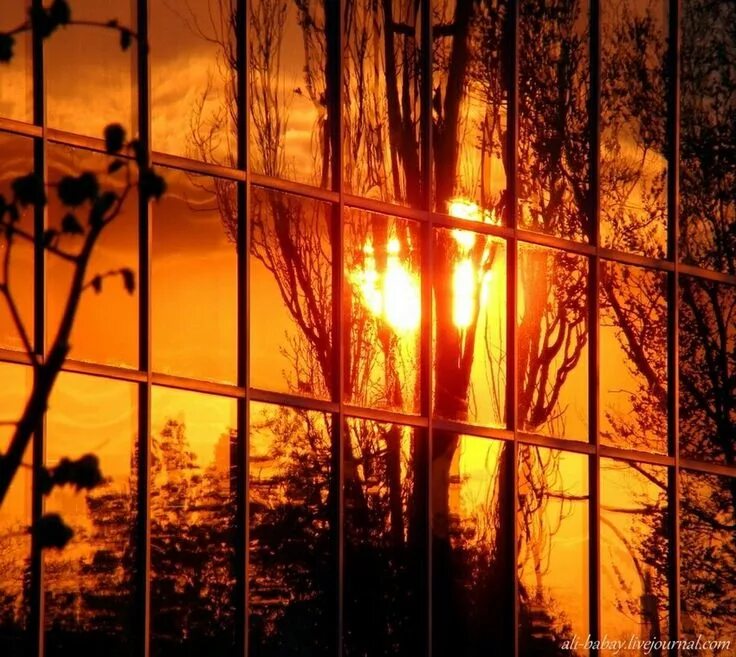 В окнах отражается солнце. Отражение солнца в окне. Отражение заката в окнах. Рассвет в окне. Солнечные лучи в окне.