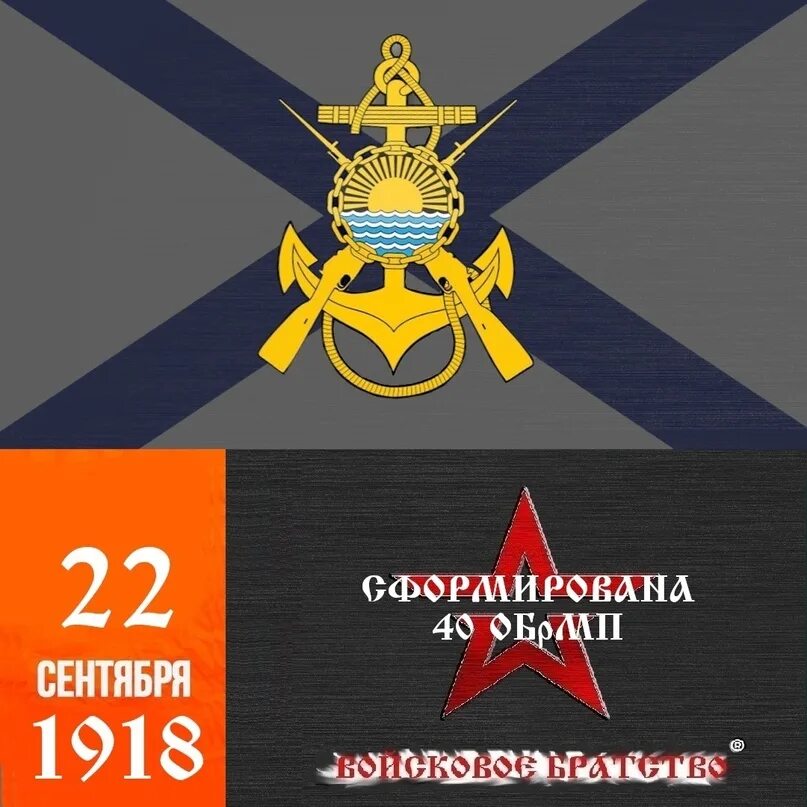 40 обрмп. 40 обрмп. В/ч 10103 петропавловск-камчатский. Дшб морской пехоты. 40 обрмп шеврон.