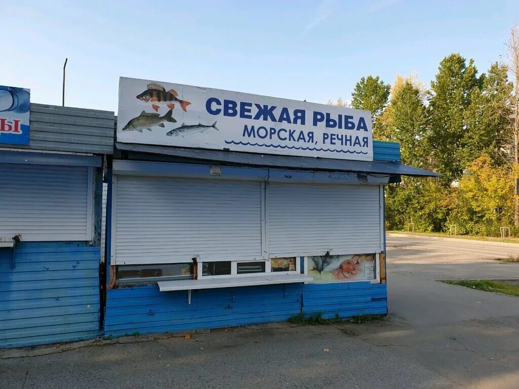 Рыбный день магазин. Рыбный магазин павильон. Пермь рыбный павильон. Икра и рыба магазин. Рыба в магазине названия.