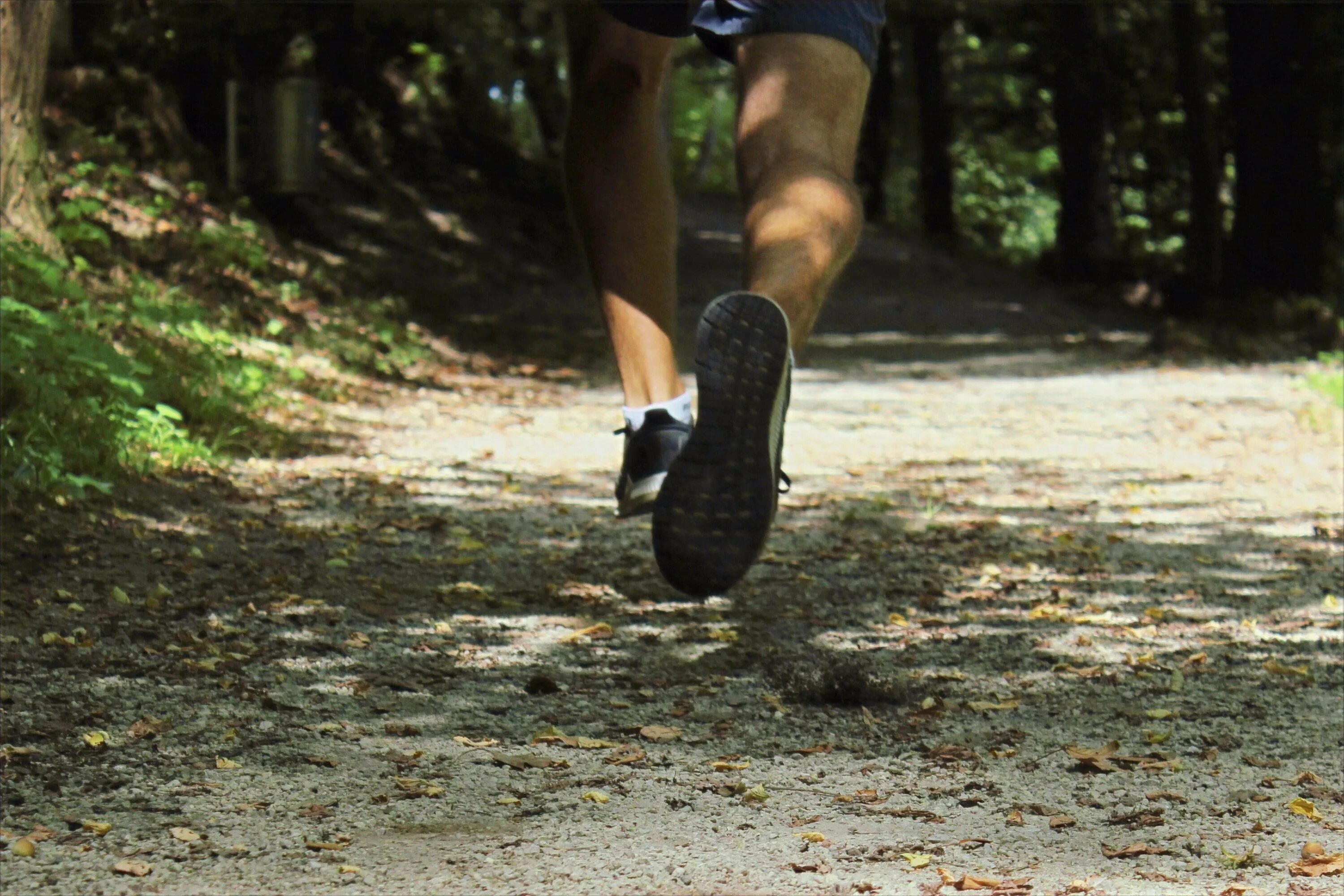 My run. Ползет от бега. trail run 2025. top down бег. trail run 2025 москва.
