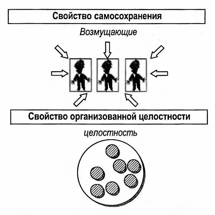 Свойства организации. Системные свойства. Свойства целостности в организации. Системные свойства компании. Системные свойства организации