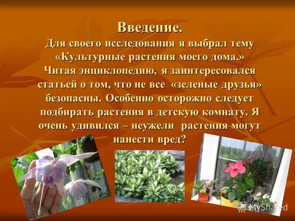 легенда о ландыше. введение в культуру растений. введение в культуру растений. ввести растение в культуру. интродукция примеры.