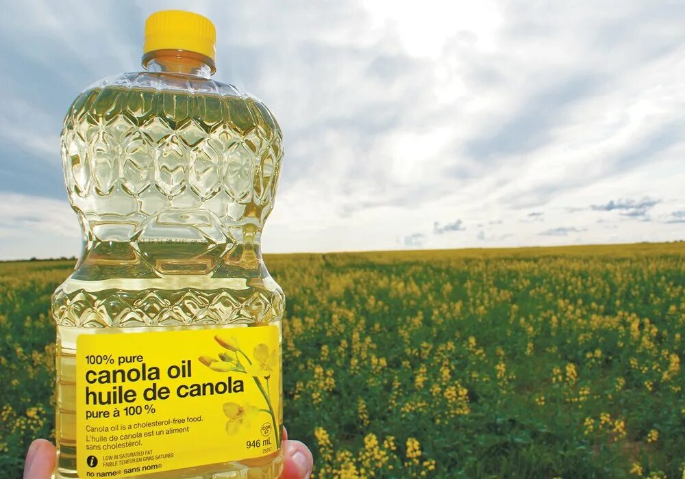Canola oil. Рапсовое масло, масло канолы. Canola oil. Canola масло. Рапсовое масло рафинированное.