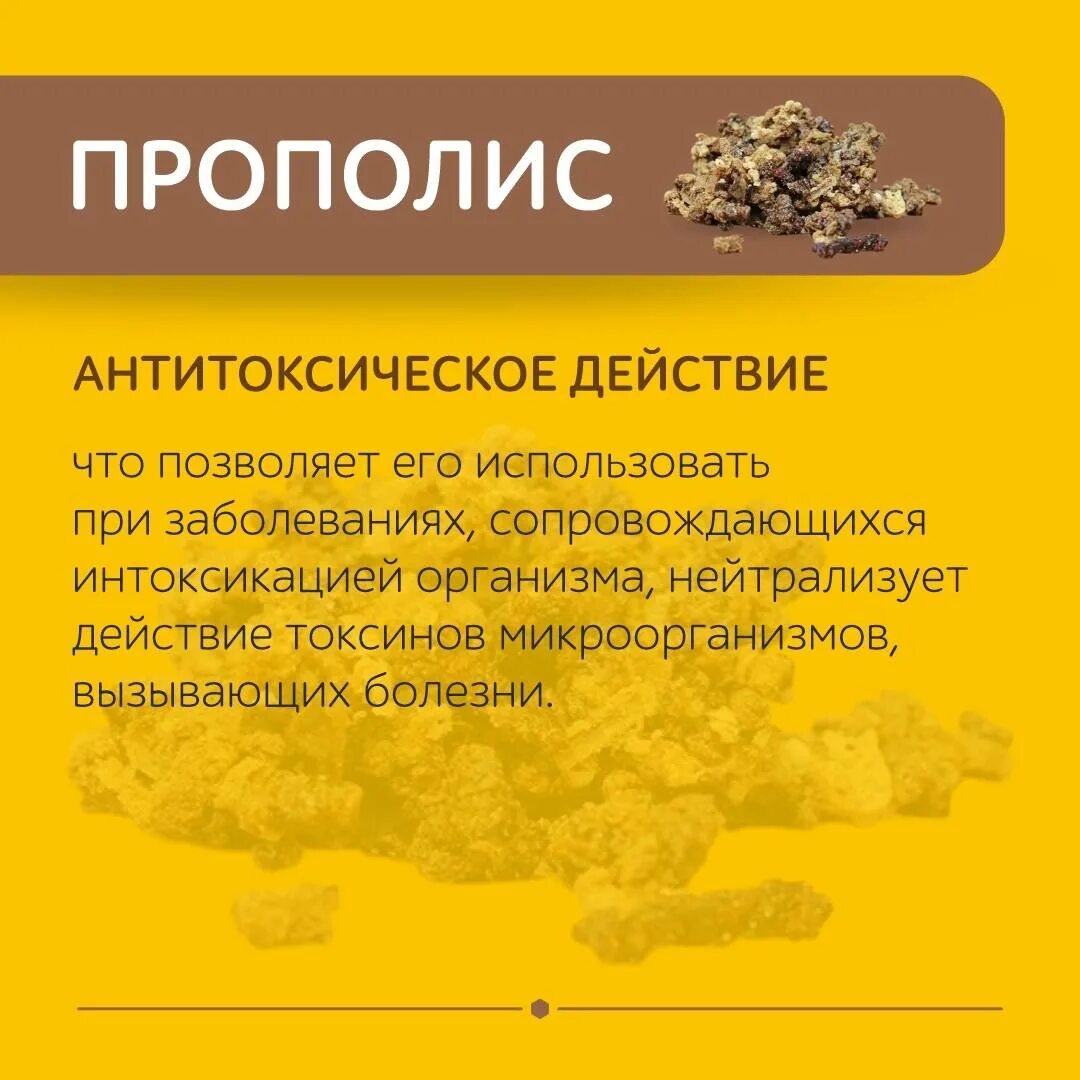 Прополис. Прополис пчелиный. Продукты пчеловодства прополис. Прополис пчелиный прополис.