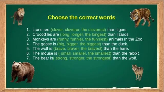 Clever animals 3 класс. Crocodiles are long/longer than Lizards. Spotlight 3 Clever animals. Cleverest или the most Clever.