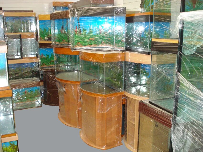 Купить недорогих аквариумных рыбок