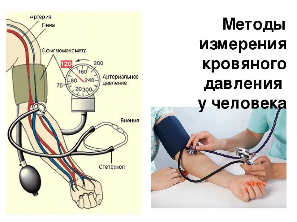 Манипуляция ад. Измерение артериального давления механическим тонометром алгоритм. Алгоритм измерения давления механическим тонометром. Правильное измерение артериальное давление механический прибор. Алгоритм измерения артериального давления тонометром.