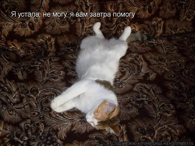 Help will come tomorrow петруша. Помощь ближнему. Нужна ваша помощь. Помогите оплатить передержку. Протяни руку ближнему.